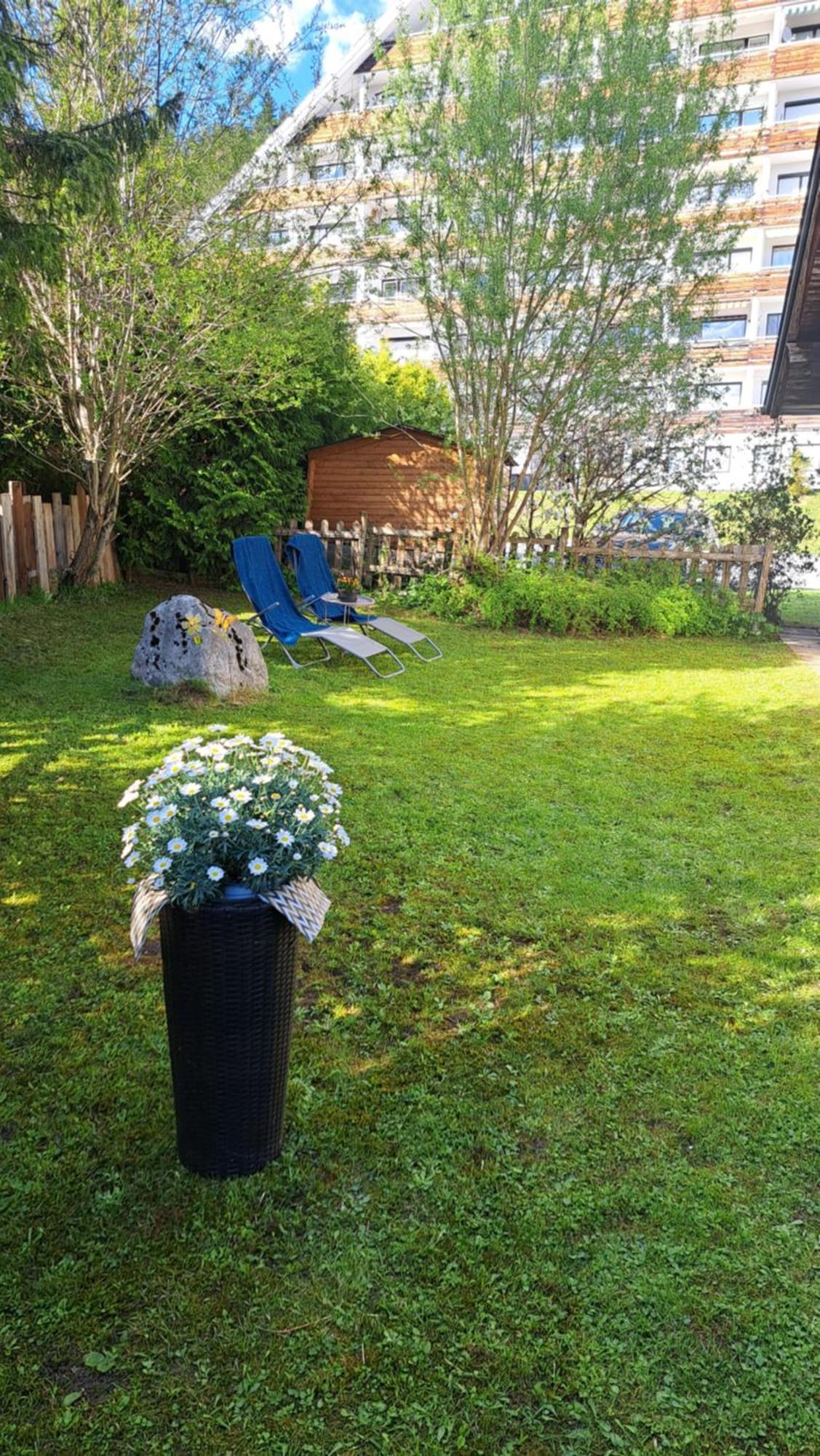Sandras Ferienhaus Bungalow Sonnenalm Bad Mitterndorf Luaran gambar
